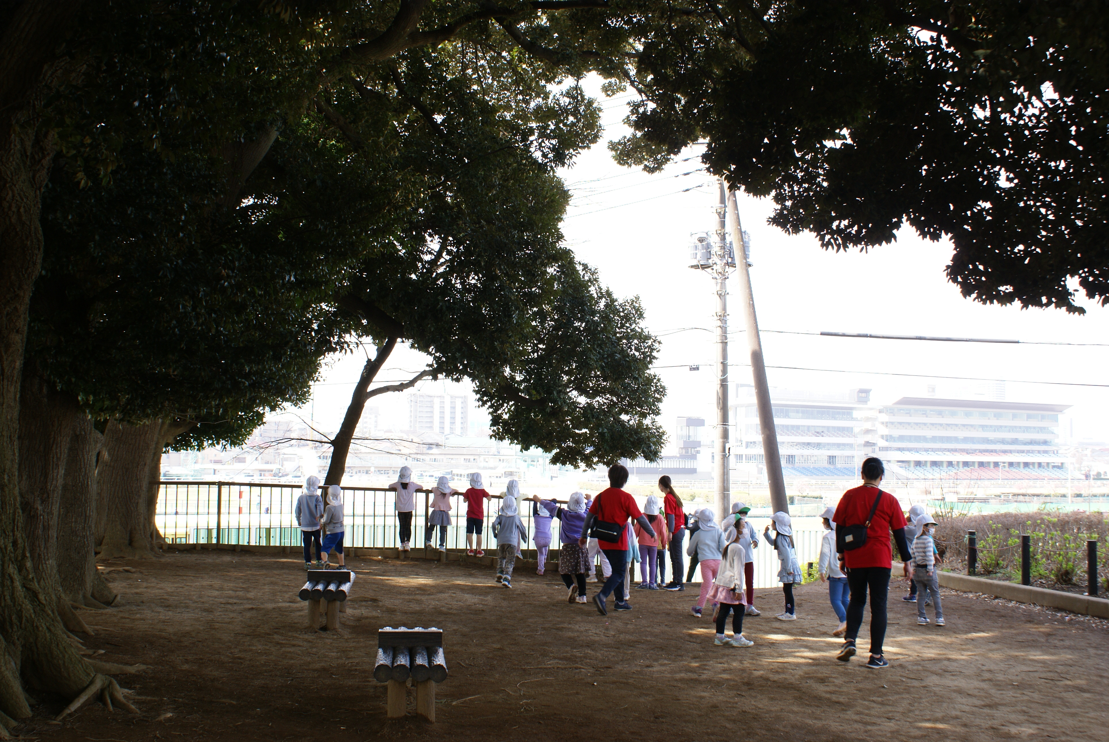 子どもたちが公園で遊んでいる様子